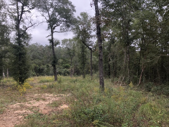 Defuniak Springs, Florida 32433, ,Land,For Sale,Hurricane,858121