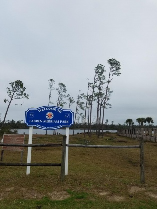 Lynn Haven, Florida 32444, ,Land,For Sale,Judson,858196