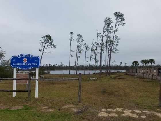 Lynn Haven, Florida 32444, ,Land,For Sale,Judson,858196