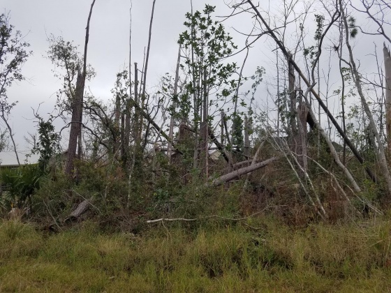 Lynn Haven, Florida 32444, ,Land,For Sale,Judson,858196