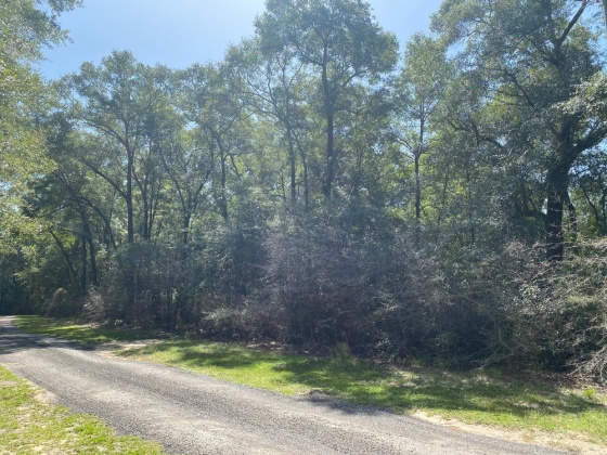 Baker, Florida 32531, ,Land,For Sale,Rosson Cove,858348