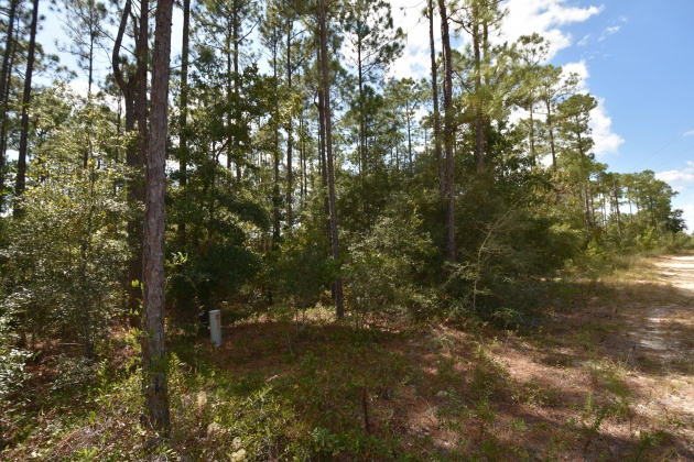 Crestview, Florida 32539, ,Land,For Sale,Eagle,839841