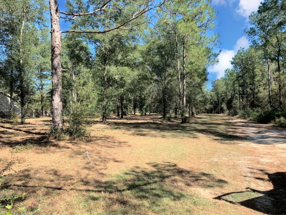 Defuniak Springs, Florida 32433, ,Land,For Sale,Lockney,858518