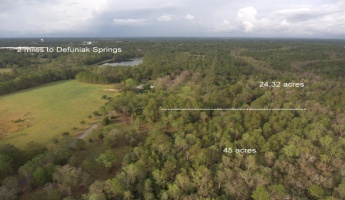Defuniak Springs, Florida 32435, ,Land,For Sale,Hill,810748