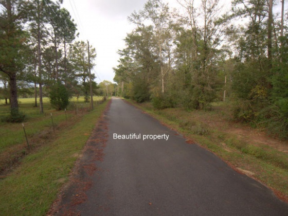 Defuniak Springs, Florida 32435, ,Land,For Sale,Hill,810748