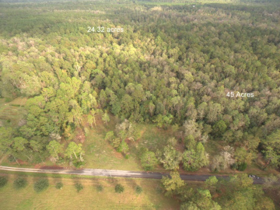 Defuniak Springs, Florida 32435, ,Land,For Sale,Hill,810748