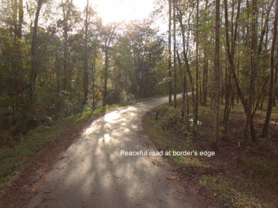 Defuniak Springs, Florida 32435, ,Land,For Sale,Hill,810748