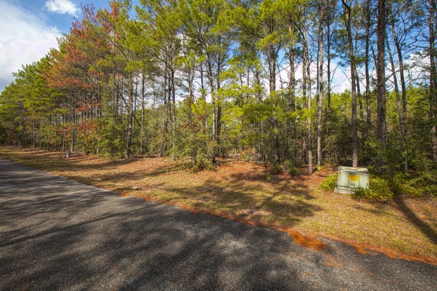 Ponce De Leon, Florida 32455, ,Land,For Sale,Golf Club,859303