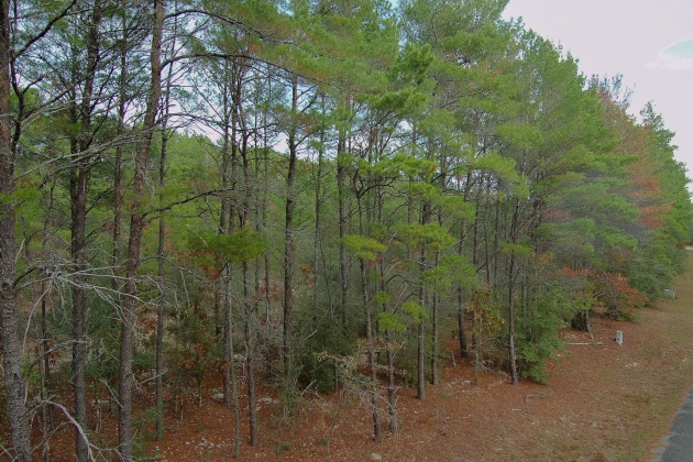 Ponce De Leon, Florida 32455, ,Land,For Sale,Golf Club,859303