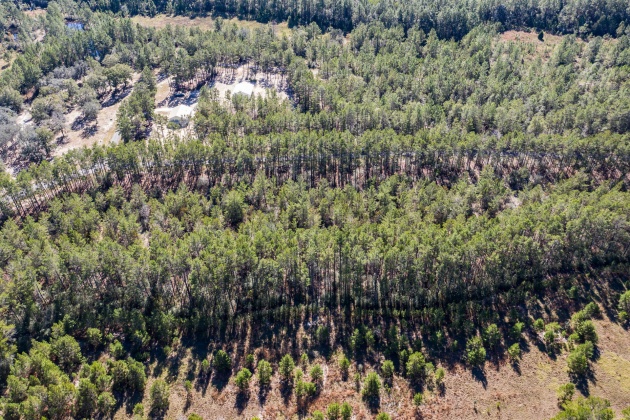 Ponce De Leon, Florida 32455, ,Land,For Sale,Golf Club,859303