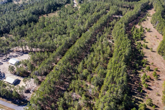 Ponce De Leon, Florida 32455, ,Land,For Sale,Golf Club,859303