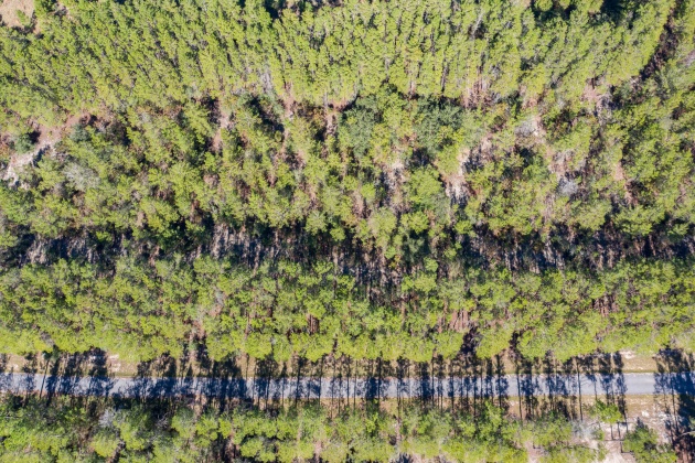 Ponce De Leon, Florida 32455, ,Land,For Sale,Golf Club,859303