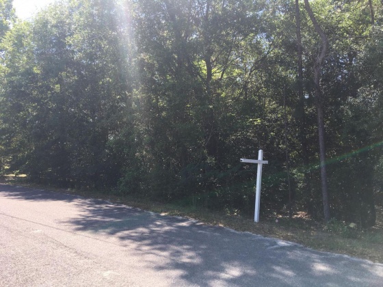 Crestview, Florida 32539, ,Land,For Sale,Sonny,859332