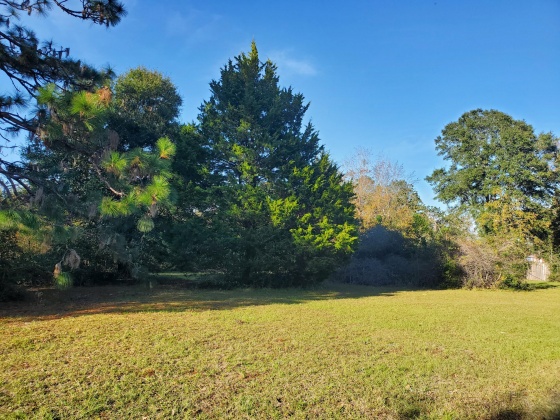 Crestview, Florida 32539, ,Land,For Sale,Bird,859355