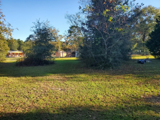 Crestview, Florida 32539, ,Land,For Sale,Bird,859355