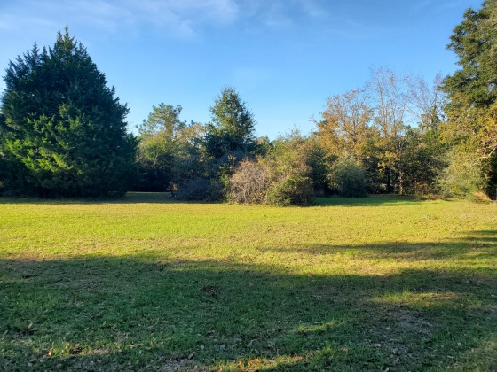 Crestview, Florida 32539, ,Land,For Sale,Bird,859355