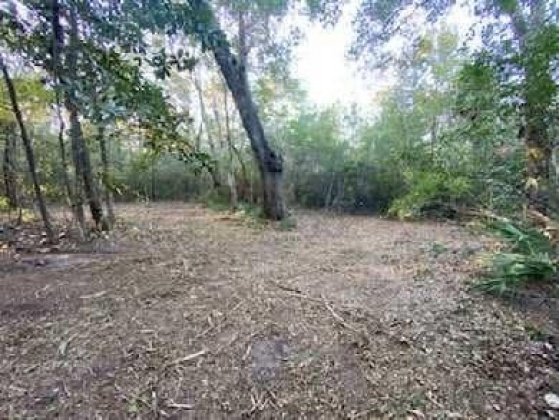 Milton, Florida 32583, ,Land,For Sale,Hermosa,859393