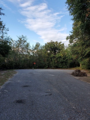 Milton, Florida 32583, ,Land,For Sale,Hermosa,859393