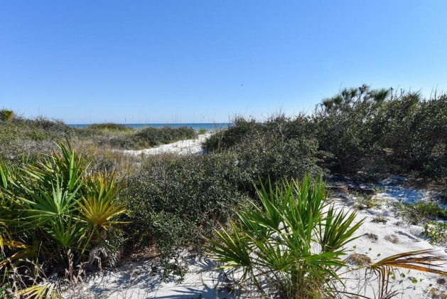 St. George Island, Florida 32328, ,Land,For Sale,Sea Fern,859475