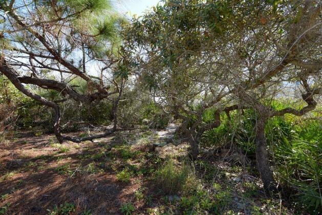 St. George Island, Florida 32328, ,Land,For Sale,Sea Fern,859475