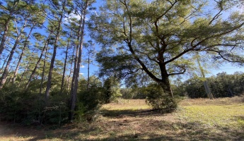 Baker, Florida 32531, ,Land,For Sale,Hwy 90,859658