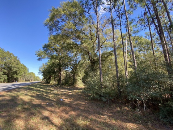 Baker, Florida 32531, ,Land,For Sale,Hwy 90,859658