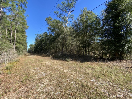 Baker, Florida 32531, ,Land,For Sale,Hwy 90,859658