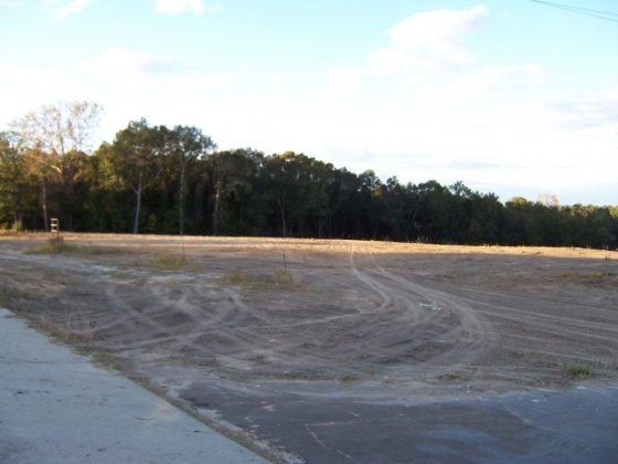 Defuniak Springs, Florida 32433, ,Commercial for Sale,For Sale,Us Highway 90,859717