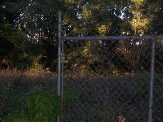 Defuniak Springs, Florida 32433, ,Commercial for Sale,For Sale,Us Highway 90,859717