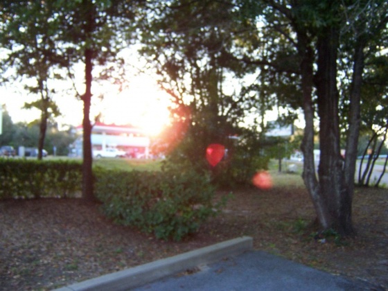 Defuniak Springs, Florida 32433, ,Commercial for Sale,For Sale,Us Highway 90,859717