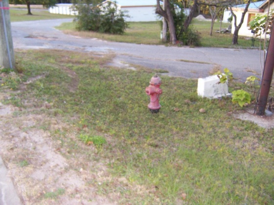 Defuniak Springs, Florida 32433, ,Commercial for Sale,For Sale,Us Highway 90,859717