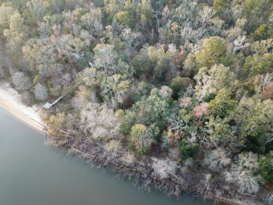 Ponce De Leon, Florida 32455, ,Land,For Sale,Big Cedar,836111