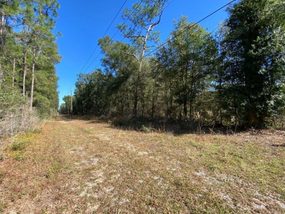 Baker, Florida 32531, ,Land,For Sale,Hwy 90,859824