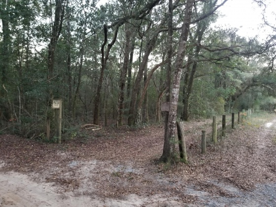 Holt, Florida 32564, ,Land,For Sale,Calvin Carr,859962