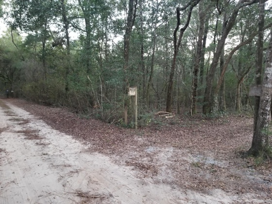 Holt, Florida 32564, ,Land,For Sale,Calvin Carr,859962