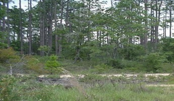 Defuniak Springs, Florida 32433, ,Land,For Sale,South,860013