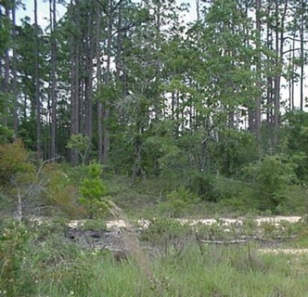 Defuniak Springs, Florida 32433, ,Land,For Sale,South,860013