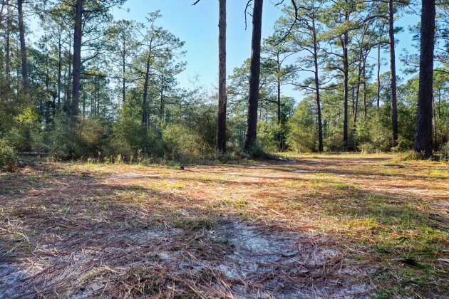Freeport, Florida 32439, ,Land,For Sale,Business 331,860150