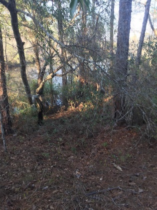 Freeport, Florida 32439, ,Land,For Sale,Black Creek Rd,829288