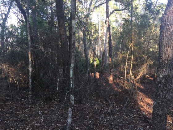 Freeport, Florida 32439, ,Land,For Sale,Black Creek Rd,829288