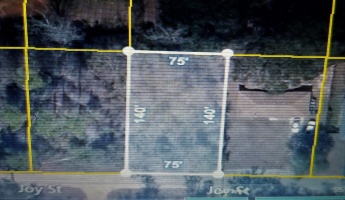 Bagdad, Florida 32530, ,Land,For Sale,Joy,860219