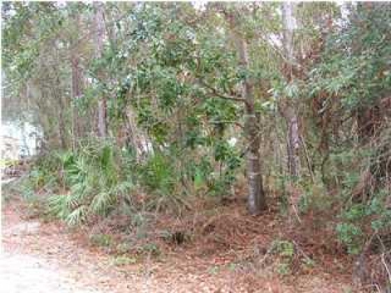 Santa Rosa Beach, Florida 32459, ,Land,For Sale,Osprey,427635