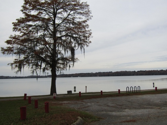 Florala, Alabama 36442, 3 Bedrooms Bedrooms, ,1 BathroomBathrooms,Residential,For Sale,Fifth,860300