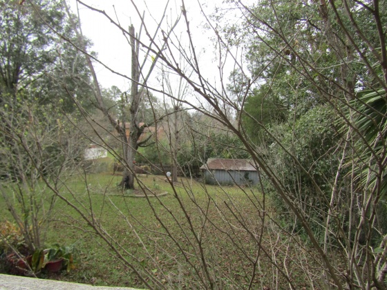 Florala, Alabama 36442, 3 Bedrooms Bedrooms, ,1 BathroomBathrooms,Residential,For Sale,Fifth,860300