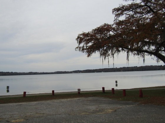 Florala, Alabama 36442, 3 Bedrooms Bedrooms, ,1 BathroomBathrooms,Residential,For Sale,Fifth,860300