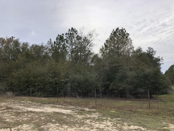 Defuniak Springs, Florida 32435, ,Land,For Sale,Campbell,860449