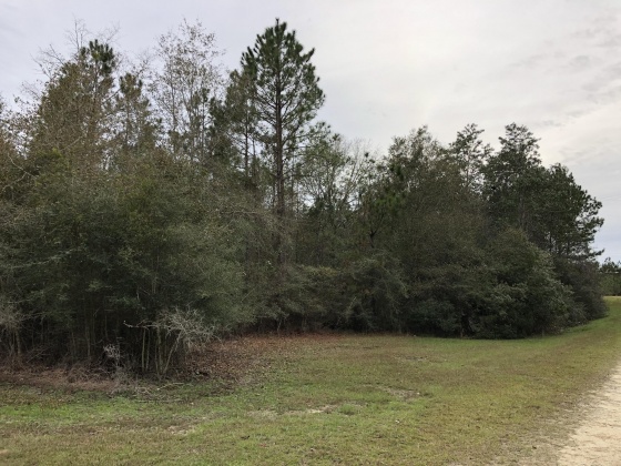 Defuniak Springs, Florida 32435, ,Land,For Sale,Campbell,860449
