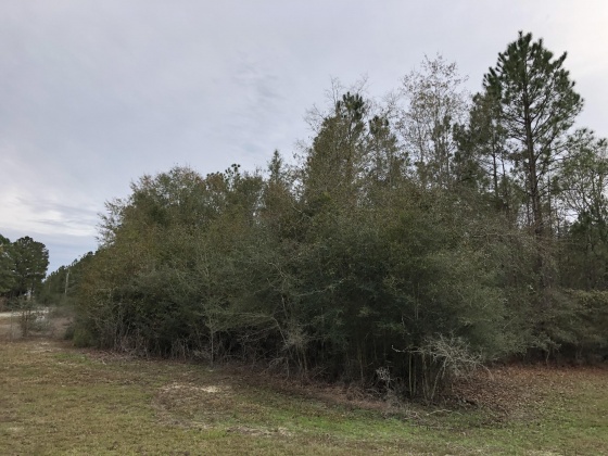 Defuniak Springs, Florida 32435, ,Land,For Sale,Campbell,860449
