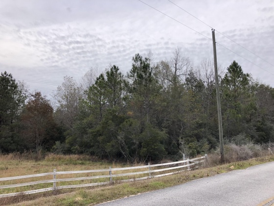 Defuniak Springs, Florida 32435, ,Land,For Sale,Campbell,860449