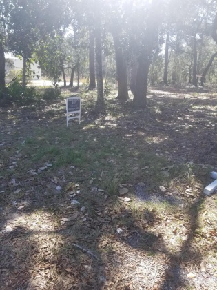 Santa Rosa Beach, Florida 32459, ,Land,For Sale,Bay Magnolia,860476